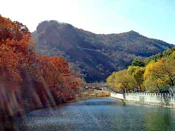 管家婆黑白马报图库，松香